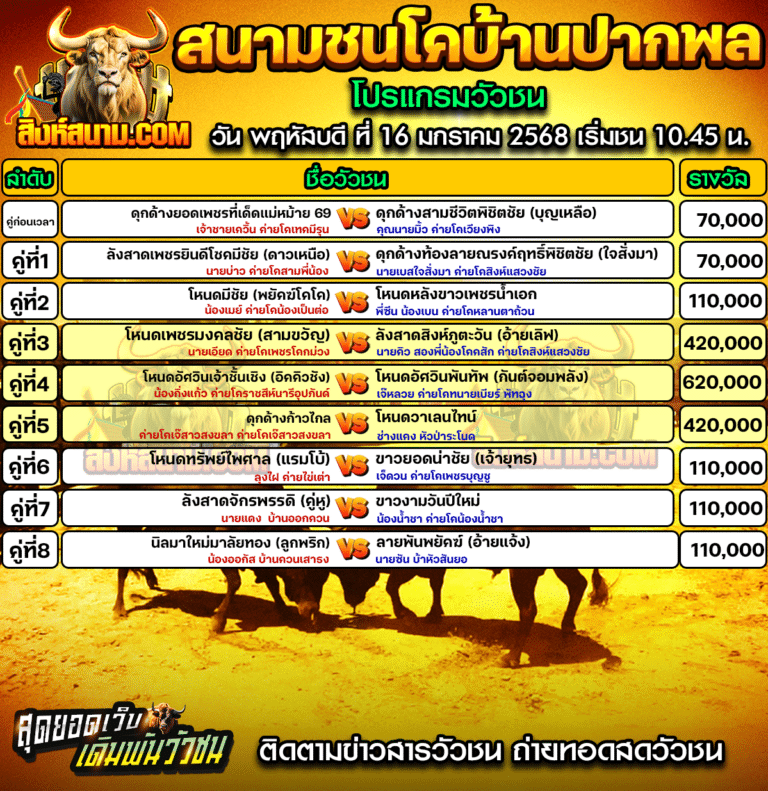 โปรแกรมวัวชน ปากพล 16