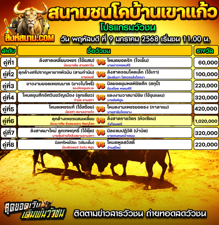 โปรแกรมวัวชนเขาแก้ว